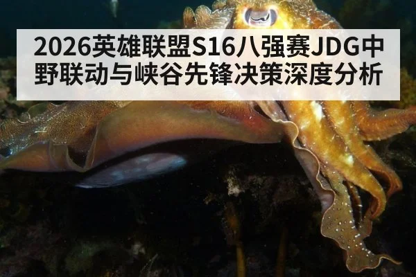 2026英雄联盟S16八强赛JDG中野联动与峡谷先锋决策深度分析